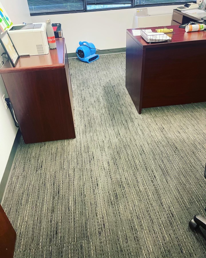 Office Carpet cleaning