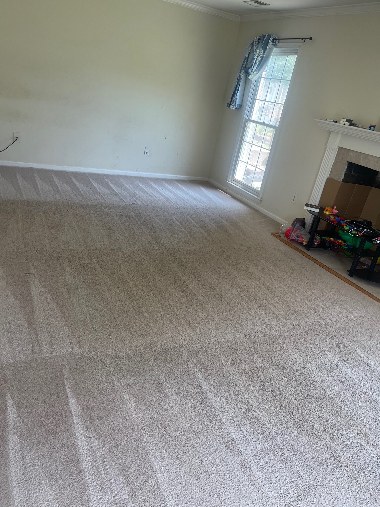 Carpets look like new